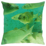 рыбы в аквариуме