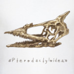 Череп птеродактиля