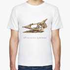 Череп птеродактиля