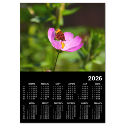 Календарь с принтом Садовая ромашка