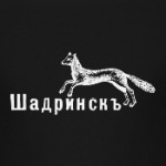 Я люблю Шадринск!