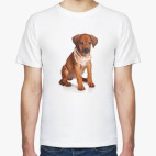 Мужская футболка