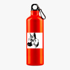 Металлическая бутылка 700 мл UV-DTF