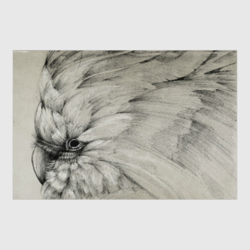 Постер с принтом Былый попугай