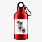 Металлическая бутылка 400 мл UV-DTF