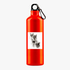 Металлическая бутылка 700 мл UV-DTF