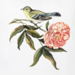 Певчая птичка