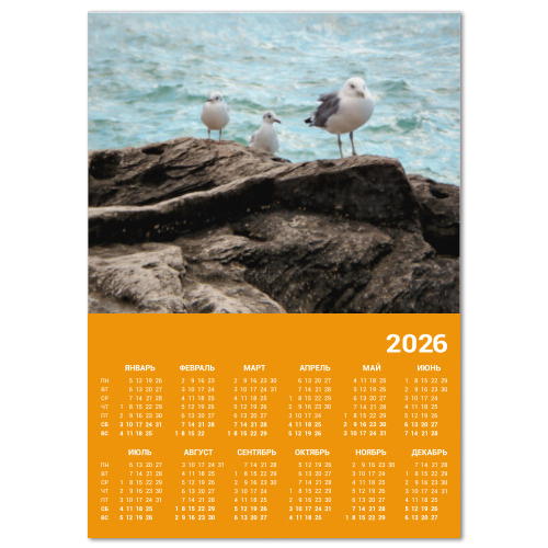 Календарь с принтом Чайки