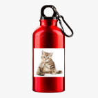 Металлическая бутылка 400 мл UV-DTF