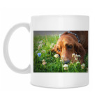 Кружка 330 мл