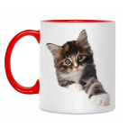 Двухцветная кружка Кот