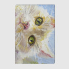 Нежный котик