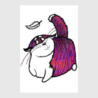 Котик-хулиган