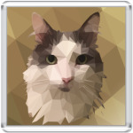 Кошка Фёкла