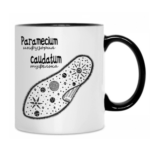 Кружка Amoeba&Paramecium
