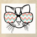 Кот в очках