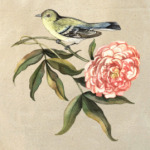 Птица и цветок