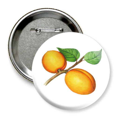 Значок 75мм с принтом Абрикос