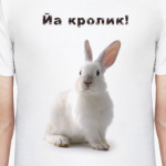 Йа кролик!