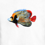 рыбный день