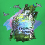 Птицы. Небо. Полет. Свобода. Простор. Березы.