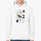 Толстовка худи