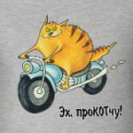 Эх, проКОТчу!