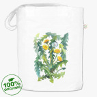 Солнечные одуванчики