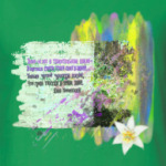 Стена. Кирпичи. Трава. Цветок. Лилия.