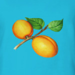 Абрикос