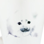 Малыш тюлень