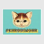 Кот шредингера