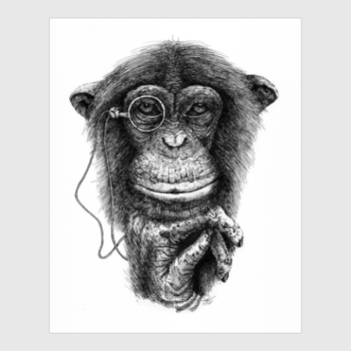 Постер с принтом Monkey