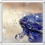 капли воды