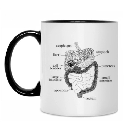 Кружка с принтом Пищеварительная система