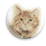котяра