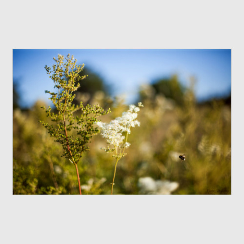 Постер с принтом Сладкий аромат