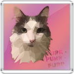 Кошка Фёкла