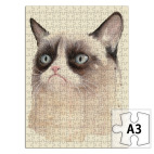 Grumpy Cat / Сердитый Кот