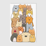 Смешные коты (funny cats)