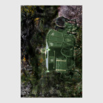 Лишь зеленая карета