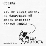 «Два хвоста»
