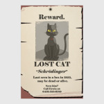 Кот шредингера