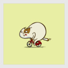 Велокот — Пятничный Котик №46