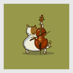 Пятничный Котик №24