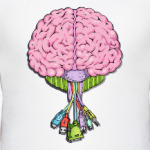 Типичный программист