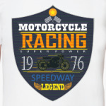 Моторейсинг