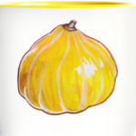 Тыква жёлтая