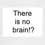 There is no brain!?