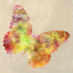 Бабочка (Butterfly)